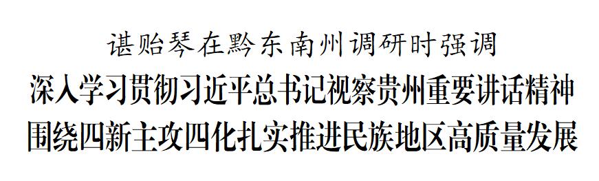 谌贻琴在黔东南州调研