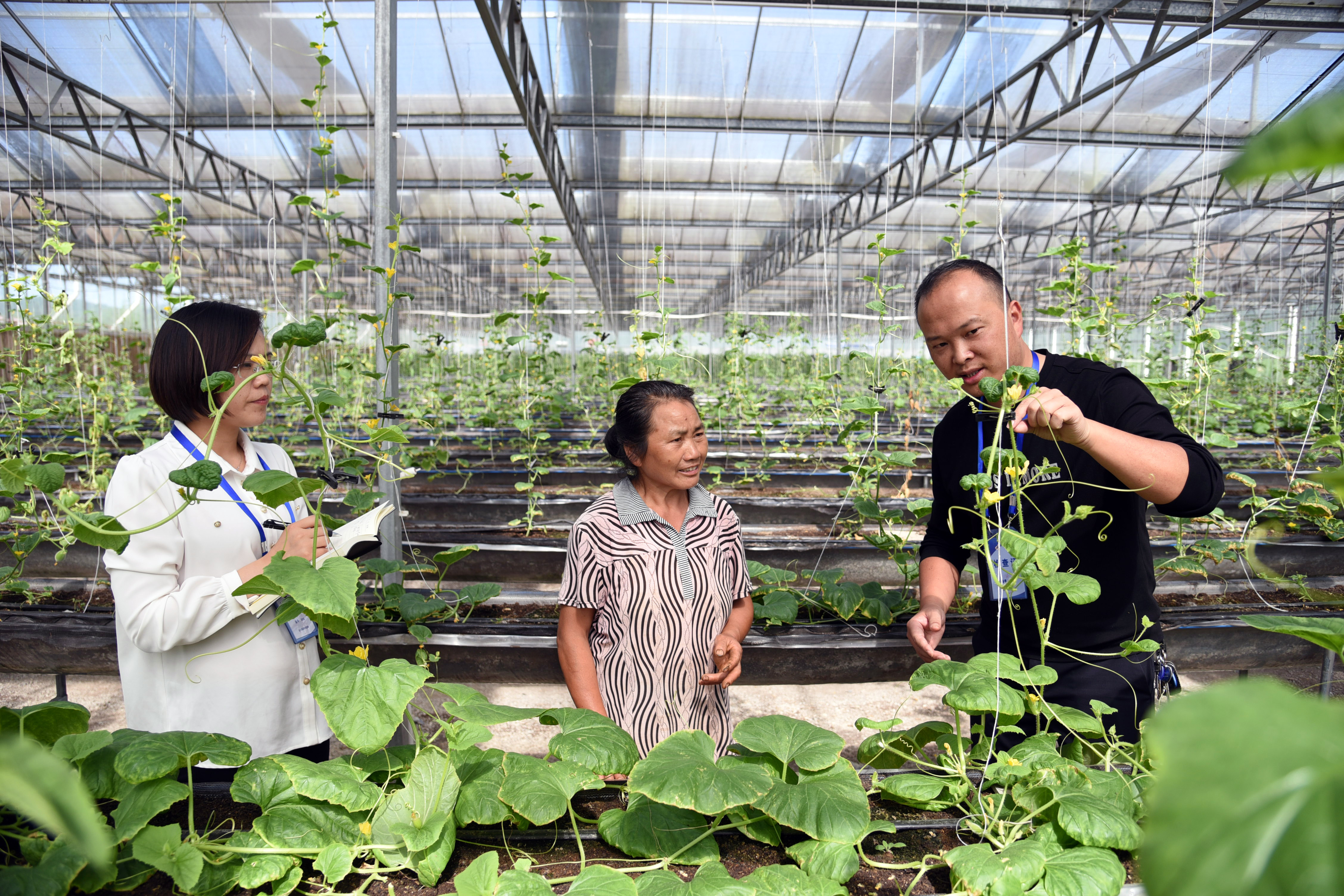 镜头丨学党史 悟思想 办实事 开新局