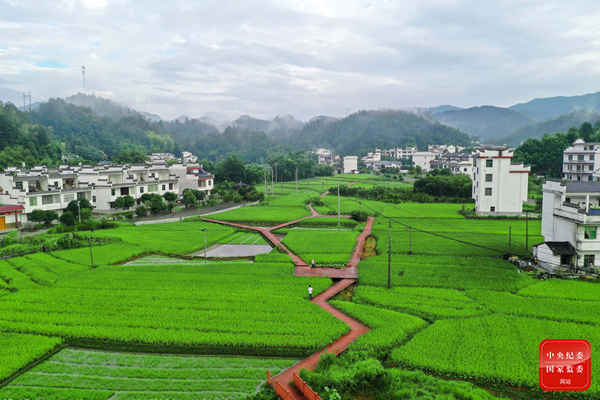 镜头 | 生逢盛世 不负盛世