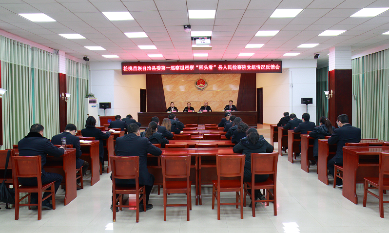 县委第一巡察组向县人民检察院党组反馈巡察情况