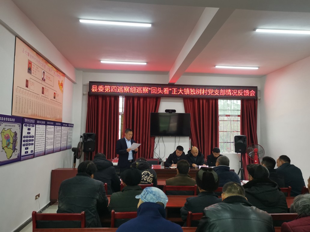 县委第四巡察组向正大镇独树村党支部反馈巡察情况